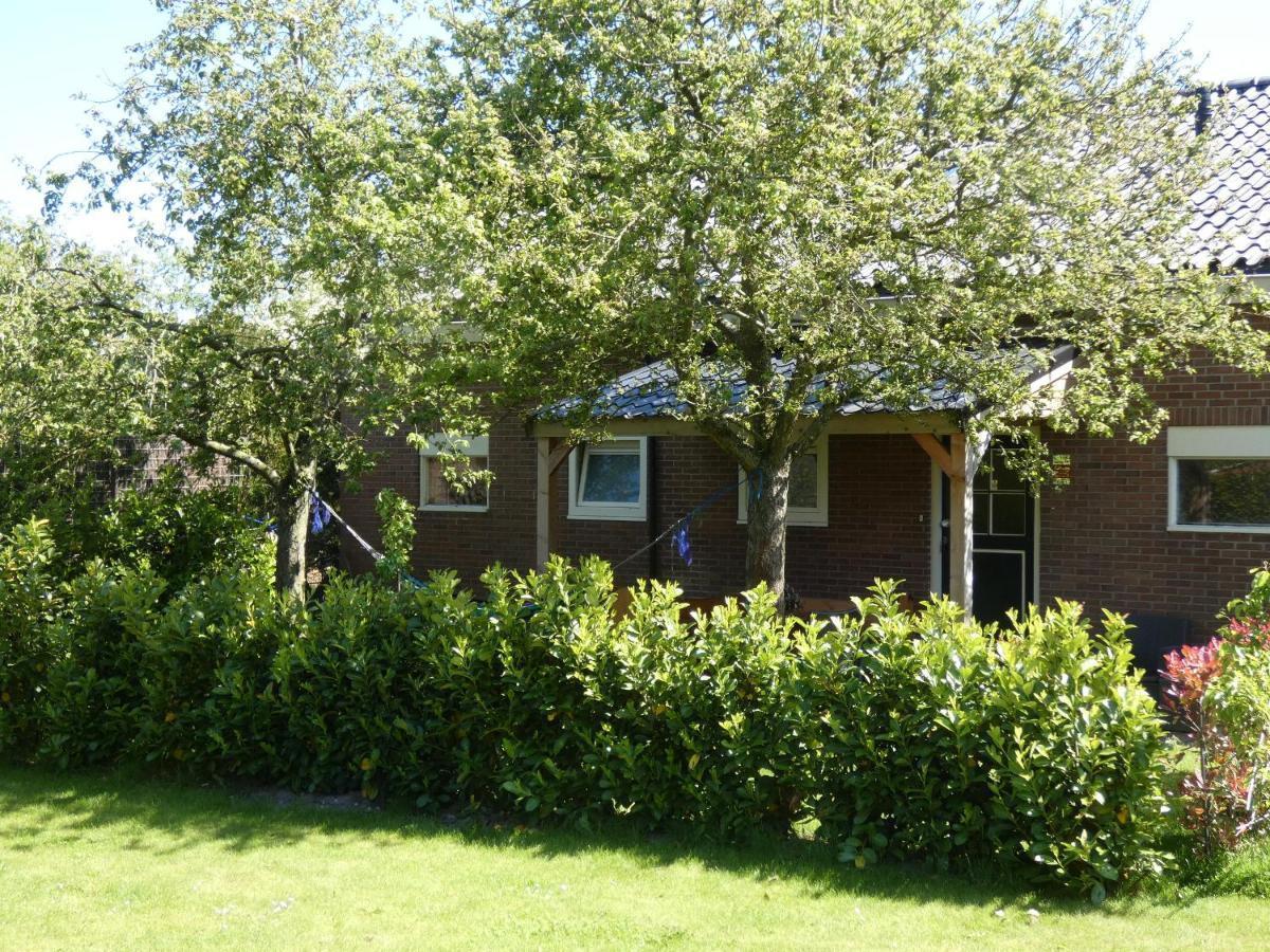 Familiehuis Achter De Duijnhoeve Bakkum ภายนอก รูปภาพ