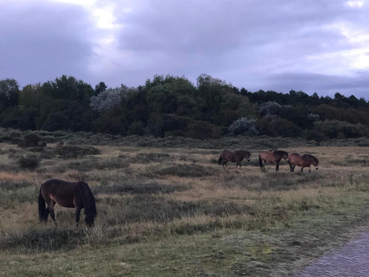Familiehuis Achter De Duijnhoeve Bakkum ภายนอก รูปภาพ